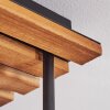 Koyoto 4-lichts plafondlamp bolvormig, retro plafondverlichting voor woonkamer
