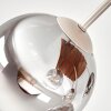 Boho-plafondlamp Gastor met houten lamellenplaat en 5 heldere rookglazen bollen, ø 15 cm