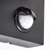 Wandlamp voor buiten Kingstown met kubusvorm voor de entree en bewegingssensor