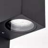 Wandlamp voor buiten Kingstown met kubusvorm voor de entree en bewegingssensor