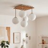 Gastor 5-lichts plafondlamp met bollen E14, lamellenplaat voor woonkamer