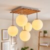 Gastor 5-lichts plafondlamp met bollen E14, lamellenplaat voor woonkamer