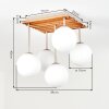 Gastor 5-lichts plafondlamp met bollen E14, lamellenplaat voor woonkamer