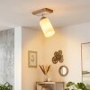 Alvorn plafondlamp met draaibare lampkop, E27, Scandinavisch voor woonkamer en hal