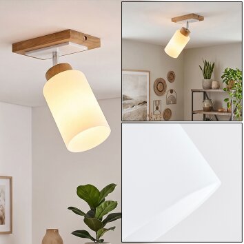 Alvorn plafondlamp met draaibare lampkop, E27, Scandinavisch voor woonkamer en hal