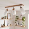 Alvorn plafondlamp 3-lichts, verstelbare plafondspot voor woonkamer en hal