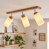 Alvorn plafondlamp 3-lichts, verstelbare plafondspot voor woonkamer en hal