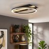 Kordex LED plafondlamp voor woonkamer en eetkamer, modern met ovale ringvorm