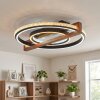 Selani LED plafondlamp met afstandsbediening, ringdesign, 2700-6500 Kelvin