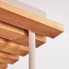Koyoto 4-lichts plafondlamp met bolkappen, E14, retro boho voor woonkamer