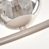 Chehalis plafondlamp met bollen, 12-lichts G9, rond armatuur ø 76 cm