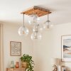 Koyoto 5-lichts plafondlamp met bolkappen, E14 voor woonkamer en eetkamer