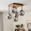 Gastor plafondlamp 5-lichts met hangende globe-schermen, E14, 43 cm hoog