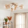 Chehalis plafondlamp met bolkappen, 6-lichts G9, ronde globevorm ø 64 cm