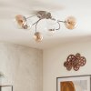 Chehalis bolvormige plafondlamp 6-lichts, ø 58 cm, rond globe-design
