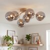Chehalis 6-lichts plafondlamp woonkamer met bolvormige kappen, G9, ø 64 cm