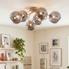 Chehalis 6-lichts plafondlamp woonkamer met bolvormige kappen, G9, ø 64 cm