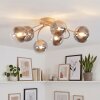 Chehalis 6-lichts plafondlamp, bolvormige plafondlamp ø 64 cm voor woonkamer