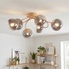 Chehalis 6-lichts plafondlamp, bolvormige plafondlamp ø 64 cm voor woonkamer