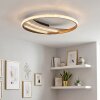 Calista platte LED plafondlamp rond 41 cm met modern ringdesign voor woonkamer