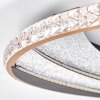 Calista platte LED plafondlamp rond 41 cm met modern ringdesign voor woonkamer