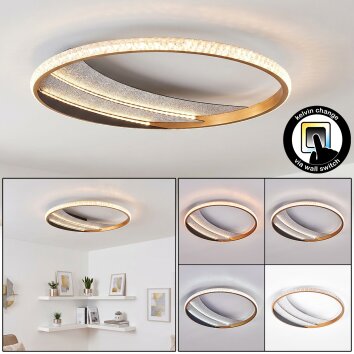 Ronde plafondlamp Calista LED met ringvorm, goud, instelbare lichtkleur 3000-6000 Kelvin
