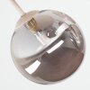 Chehalis plafondlamp met bollen, 5-lichts ronde opbouwlamp G9 voor woonkamer