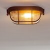 Catawba Plafondlamp Roest, 1-licht