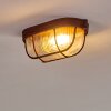 Catawba Plafondlamp Roest, 1-licht