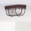 Catawba Plafondlamp Roest, 1-licht