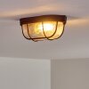 Catawba Plafondlamp Roest, 1-licht
