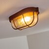 Catawba Plafondlamp Roest, 1-licht