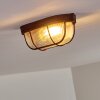 Catawba Plafondlamp Roest, 1-licht