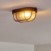 Catawba Plafondlamp Roest, 1-licht