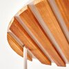 Cluster-plafondlamp Koyoto met 5 rookkleurige en heldere glazen bollen, bohostijl