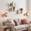 Moderne Globe-wandlamp Gastor, zandkleurige wandhouder, 2-delige set met heldere kap