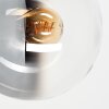 Moderne Globe-wandlamp Gastor, zandkleurige wandhouder, 2-delige set met heldere kap
