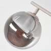 Moderne plafondlamp Gastor met 4 rookkleurige glazen bollen en zandkleurig armatuur