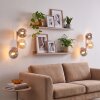 Globe-wandlamp Gastor in een 2-delige set met glazen schermen in rook, amber en helder