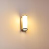 Novelle Buiten muurverlichting LED Antraciet, 1-licht