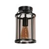 Steinhauer Pimpernel klassieke ronde plafondlamp kooilamp voor eetkamer E27