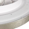 Steinhauer Flady 2-lichts LED plafondlamp rond 50 cm 4600 lumen 2700K 40W