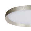 Steinhauer Flady 2-lichts LED plafondlamp rond 50 cm 4600 lumen 2700K 40W