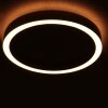 Steinhauer Ringlux LED plafondlamp met ringdesign, modern, ø 4 cm voor woonkamer