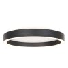 Steinhauer Ringlux LED plafondlamp met ringdesign, modern, ø 4 cm voor woonkamer