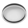 Steinhauer Ringlux LED plafondlamp met ringdesign, modern, ø 4 cm voor woonkamer