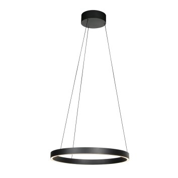 Steinhauer Mykty LED verstelbare ring hanglamp 2-lichts voor eetkamer en woonkamer