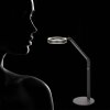 Steinhauer Ringlux LED bureaulamp met schakelaar, verstelbare leeslamp modern