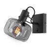 Steinhauer Glaslic moderne muurlamp/wandlamp met verstelbare arm en E27 fitting