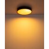 Globo Jess LED plafondlamp rond 39 cm 4600 lm 1800-12000 K met afstandsbediening